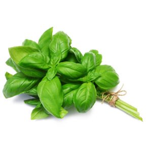 Organic Basil